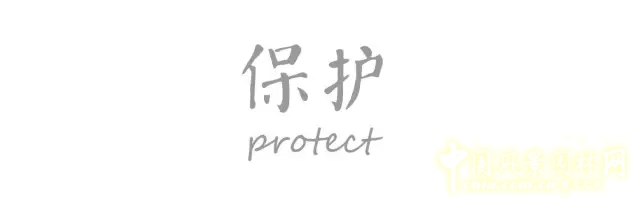 景觀學術：5分鐘讓你了解棕地