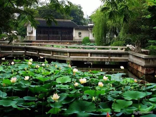 中國(guó)古典園林鑒賞：江蘇一些小而精的園林