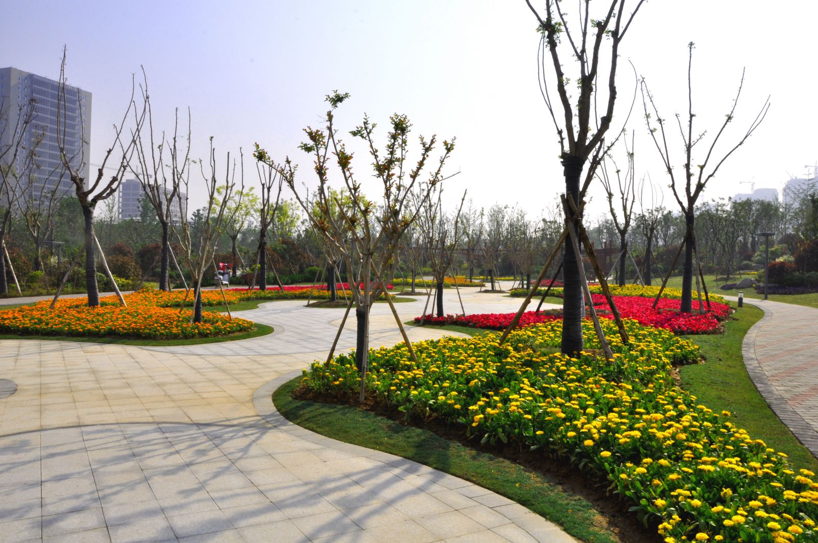 2016園冶杯專(zhuān)業(yè)獎(jiǎng)參賽項(xiàng)目：金龍湖珠山南北坡