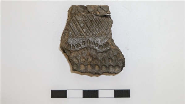 古陶器揭示古人類烹調(diào)植物最早證據(jù)