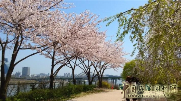 城市再生——從城市的傷痕中重拾景觀價(jià)值