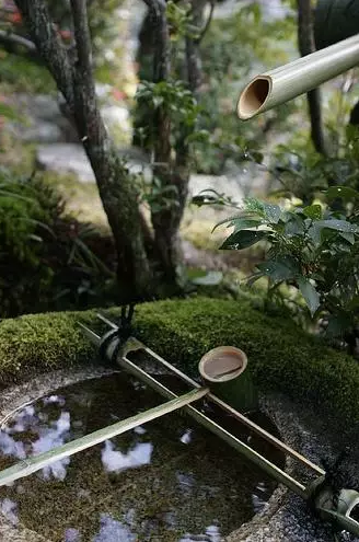 園林鑒賞：日本庭院中的美學禪意