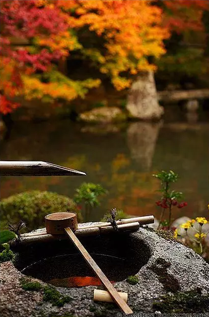 園林鑒賞：日本庭院中的美學禪意