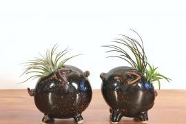 動(dòng)物花器：讓插花充滿童趣