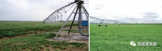“京”益求精，“藍(lán)”出美好 京藍(lán)科技備戰(zhàn)中國最大灌溉展