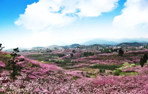 產(chǎn)業(yè)建園區(qū) 園區(qū)變景區(qū)