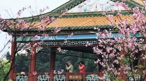 廣州周邊最受歡迎的6大名園