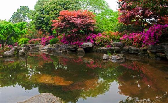 上海迪士尼進(jìn)入賞花季
