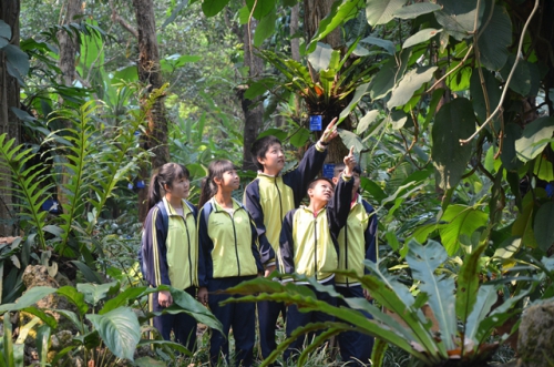 版納植物園獲云南省優秀科普教育基地