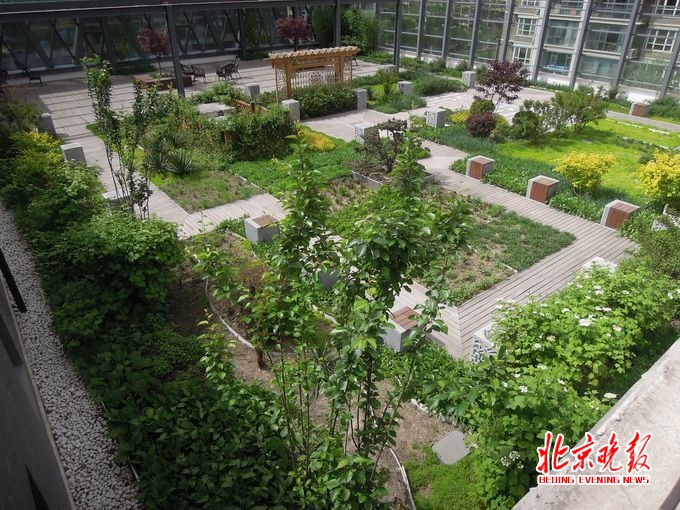 屋頂花園設(shè)計(jì)案例：天通苑一屋頂花園