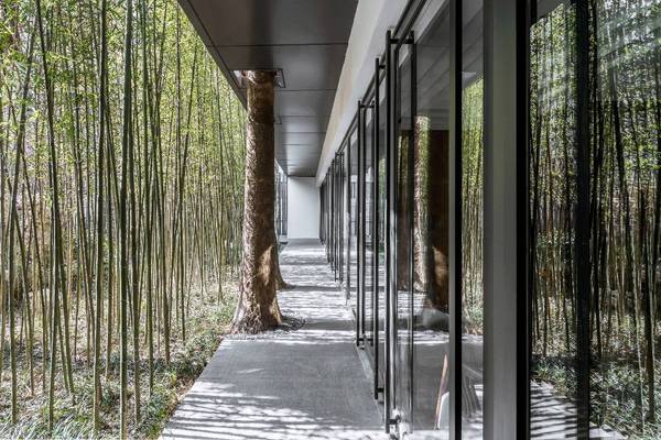 現(xiàn)代建筑與古典園林的結(jié)合
