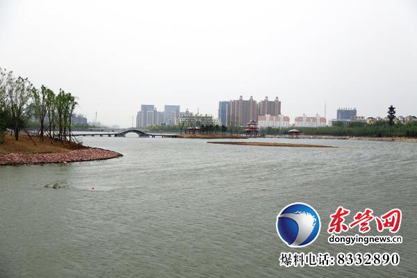 東營生態園林與城市公園建設掠影