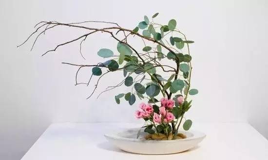 東方插花三大原則，構圖表現形式和十三要訣