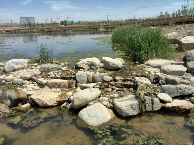 國(guó)家濕地公園園林化解決對(duì)策