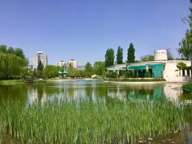 北京藏著一座歐洲園林：人定湖公園