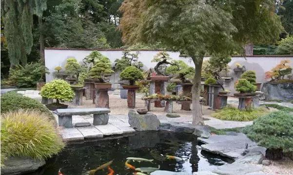 盆景——從園林中走出來的造型藝術(shù)