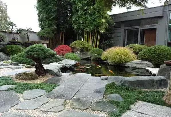 盆景——從園林中走出來的造型藝術(shù)