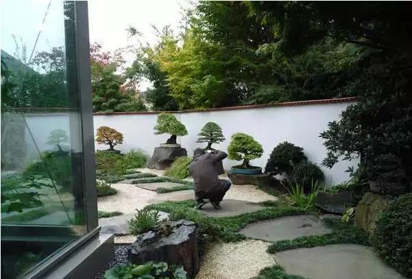 盆景——從園林中走出來的造型藝術(shù)