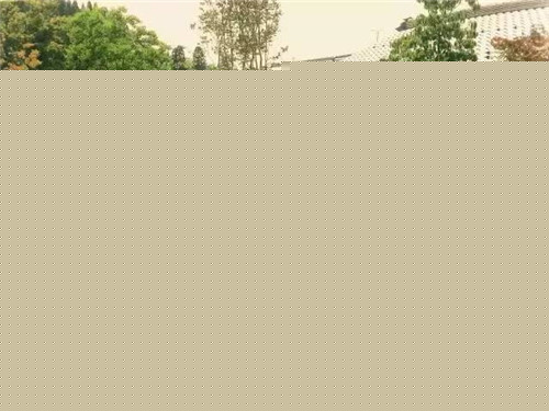 日本園林大師枡野俊明談造園和賞園