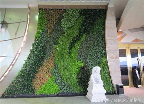 立體綠化植物墻為何這么受歡迎？