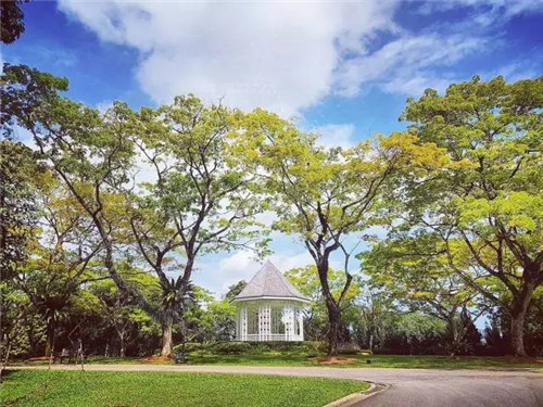 世界上這些驚為天人的植物園你都知道嗎？