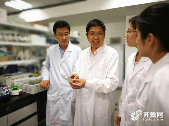 山東農業大學揭示激素調控植物干細胞機理