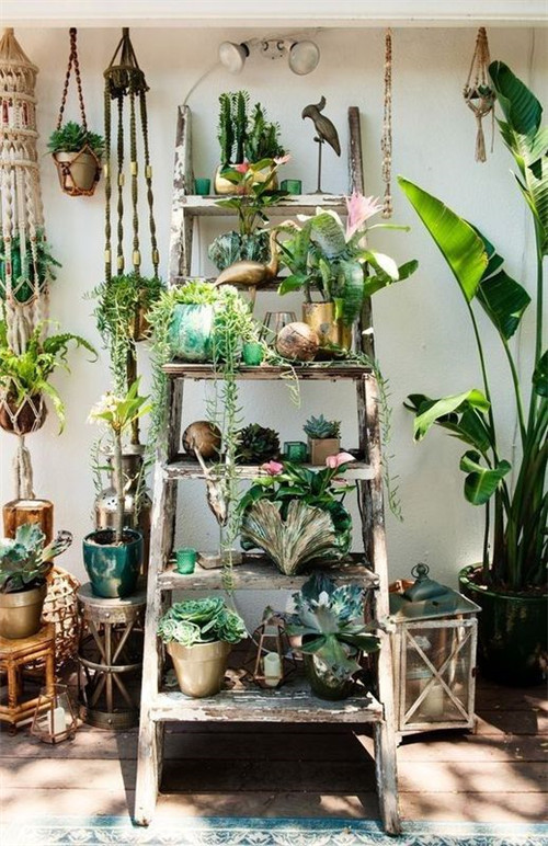 植物造景：如何布置你的陽臺？