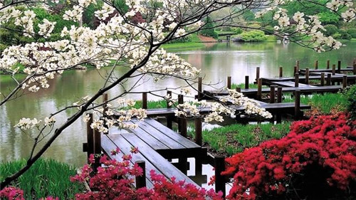 日本園林，小小庭院，源于自然，匠心獨運