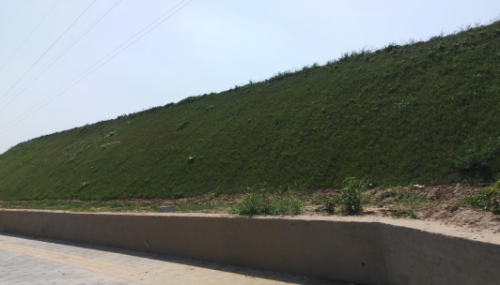 西安植物園護坡噴播綠化技術取得新突破