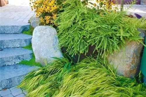 景觀設計：石頭縫里的景觀