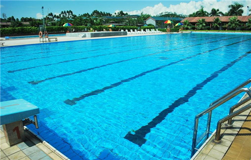 Natural swimming pool　打造夏日生態(tài)泳池