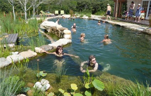 Natural swimming pool　打造夏日生態(tài)泳池