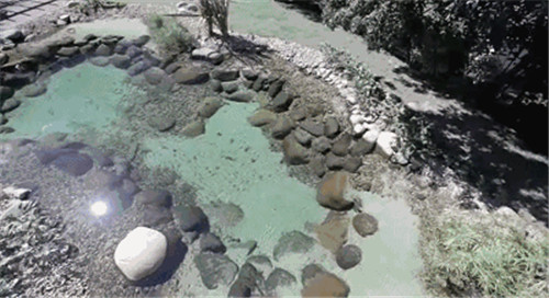 Natural swimming pool　打造夏日生態(tài)泳池