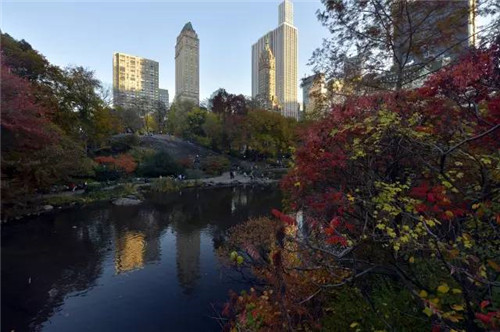 副中心“中央公園”將建在東方化工廠(chǎng)