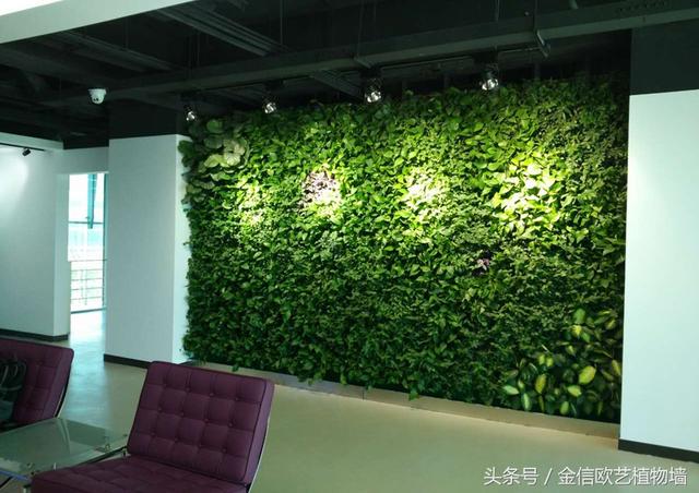植物墻如何給城市降溫，遏制熱島效應呢？