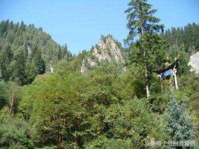 夏日旅游勝地——吐魯溝國(guó)家4A級(jí)森林公園