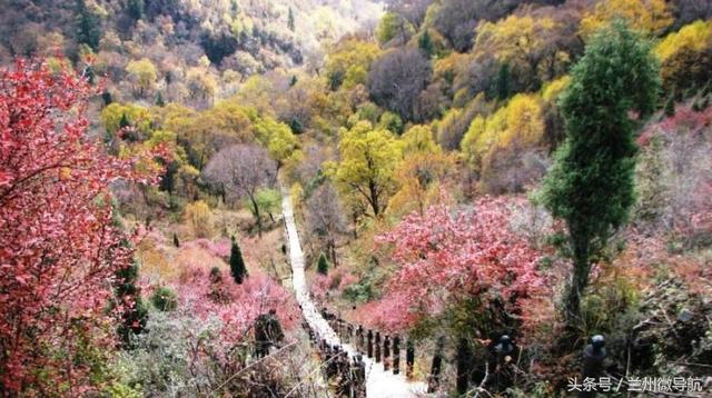 夏日旅游勝地——吐魯溝國(guó)家4A級(jí)森林公園