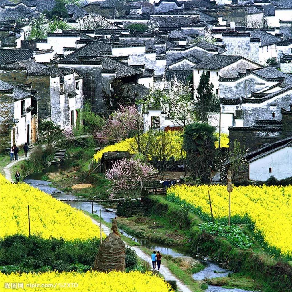 別讓大量興起的旅游建筑破壞了鄉村景觀