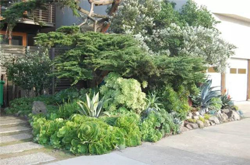 精美絕倫的多肉植物園林景觀美不勝收！