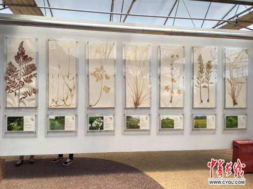 蒙草生態：數據化、科技化發展無處不在