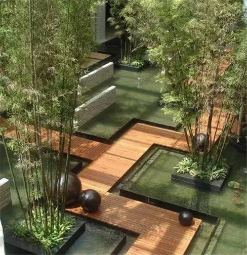 日式園林中樹的氣場