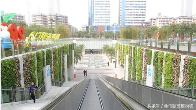 為什么要大力推行城市建設立體綠化