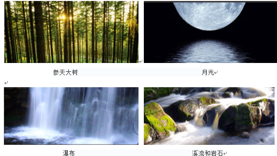森林的再現(xiàn)-馬來(lái)西亞Azelia住宅區(qū)景觀