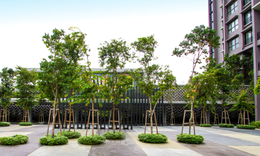 森林的再現(xiàn)-馬來(lái)西亞Azelia住宅區(qū)景觀