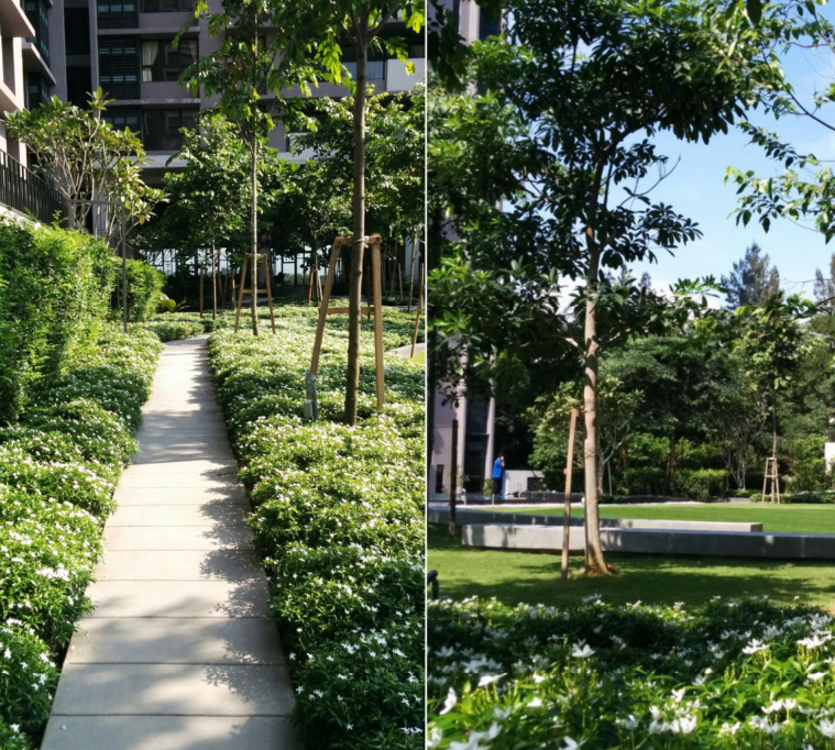 森林的再現(xiàn)-馬來(lái)西亞Azelia住宅區(qū)景觀