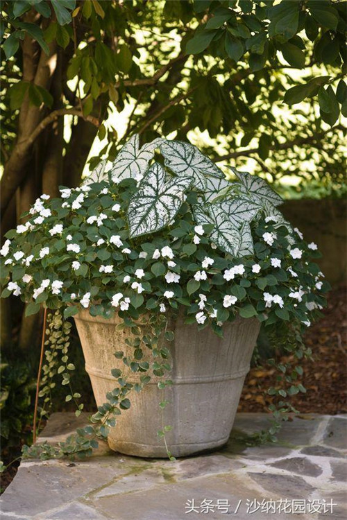 花園中精妙絕倫的插花藝術(shù)