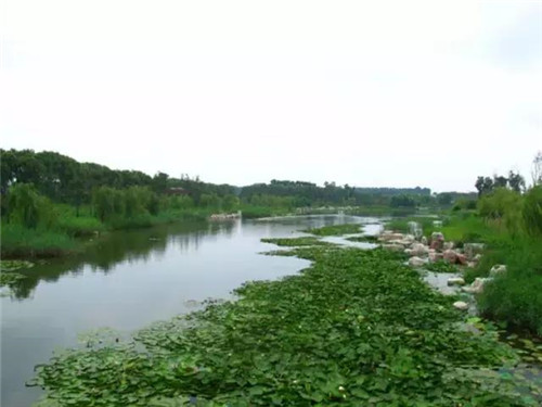 治理河流生態、 復活河流生命