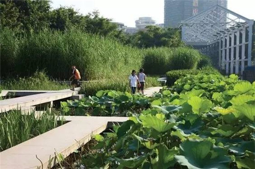 我們在設計濱水景觀時在設計什么？