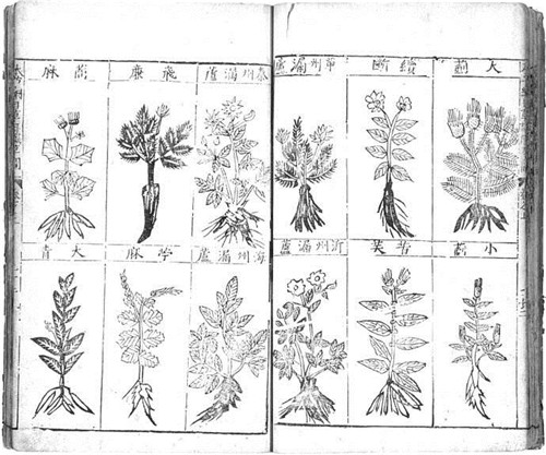 植物科學畫，宜興有名家
