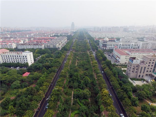 河南淇濱生態濕地的自然之美